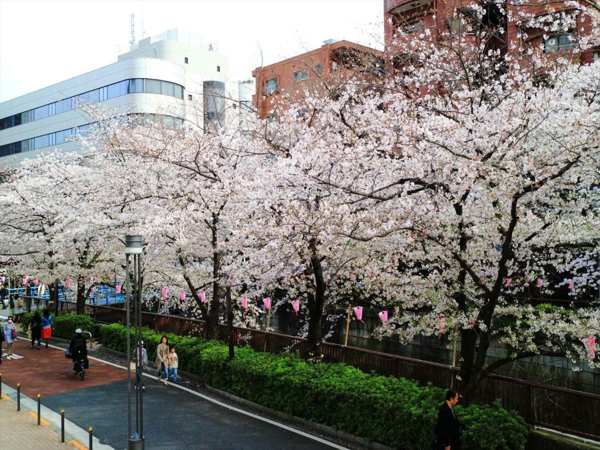 Coto Tokyo Shibuya 6 Apartment Ngoại thất bức ảnh